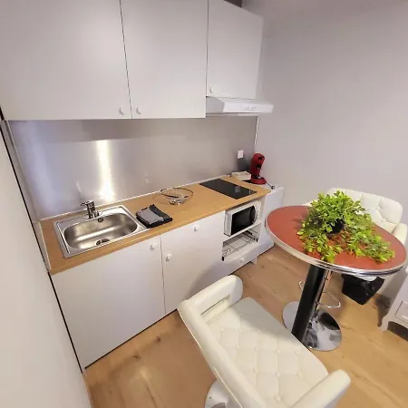 Ribere 3 - 2-room For 4 People, Boulevard De La Grotte 루르드
